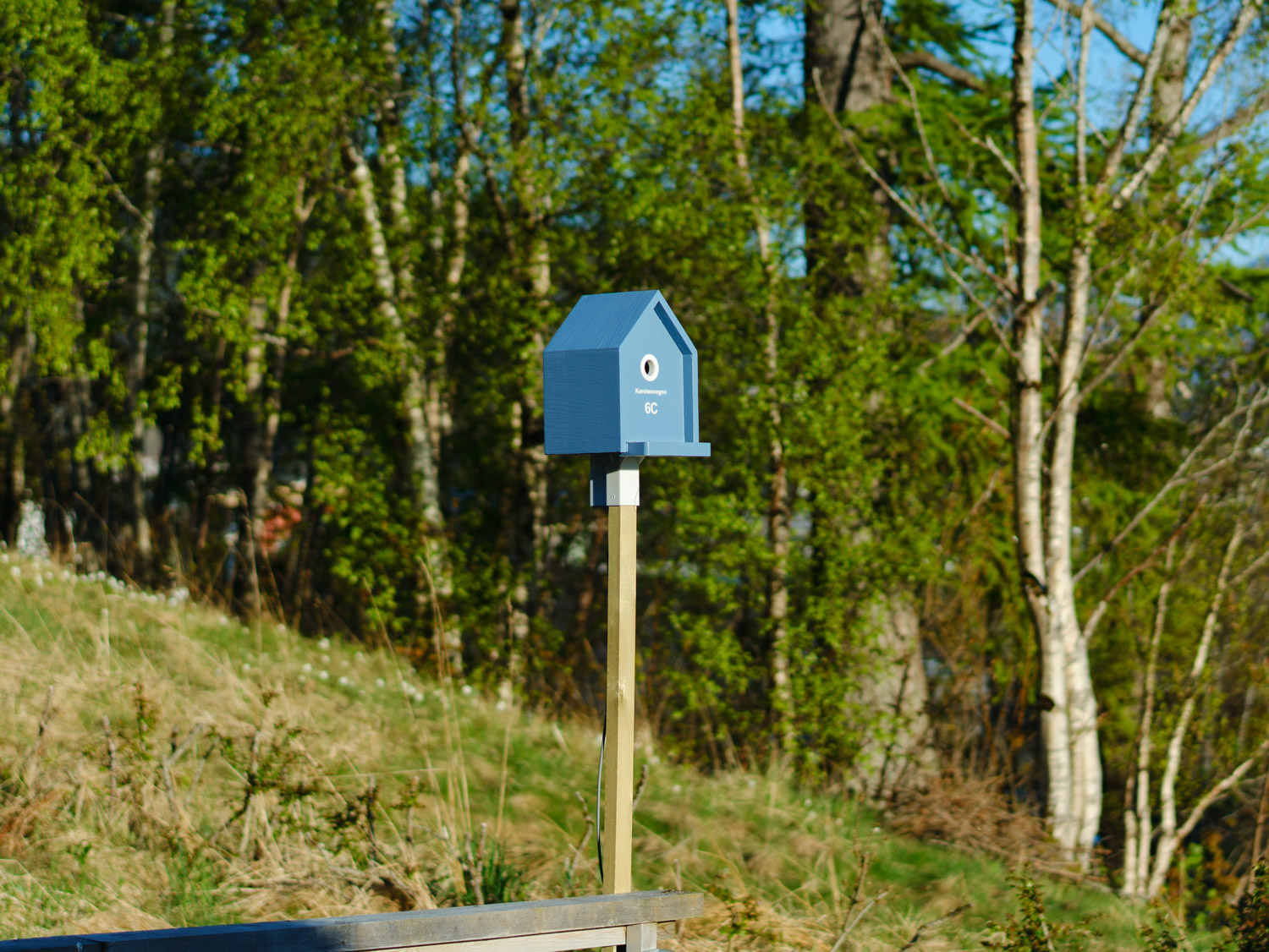 Galleri fra fuglehuset